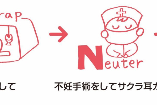 八代ニャンズ助け隊のブログ