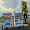 手打ちうどん　めんくい　香川県まんのう町