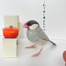 ジルたんの手作り料理