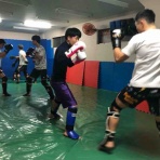 ブラジリアン柔術 修斗 総合格闘技道場 パラエストラ和泉blog