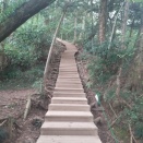 資産の推移　第一週（2026・2）