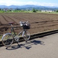 相模原ポタへ　懐かしいクルマと自販機