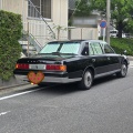 いろいろと (*ΦωΦ*)にゃー
