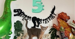わか坊、5歳のお誕生日会♪
