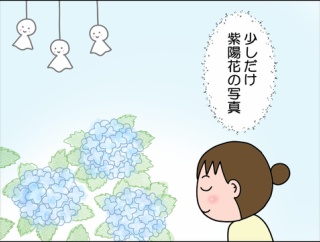 少しだけ紫陽花