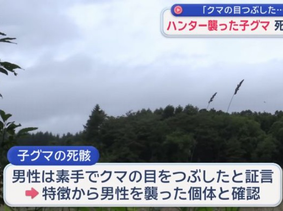 「素手で目をつぶした」 クマに襲われた男性ハンター…死骸のクマと傷が一致し同一個体と判明！