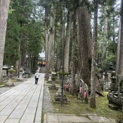 高野山へ。