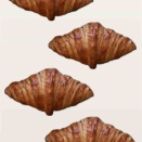 show show kids 2025年作品展