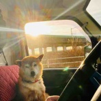 釣り船 さざえ堂 船長Ｎｏｒｉ の釣りブログ