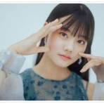 はらぺこコアラの散歩道