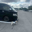 愛犬と一緒にお散歩して、味噌ラーメン。*\(^o^)/*