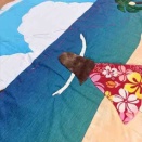 夏に似合う