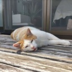 みーちゃんＨＯＵＳＥ