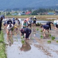 ☆★青空の下、19回目の田植えを終える〜頼もしい子どもたちの成長