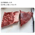 【画像】X男子「左が穀物食った牛、右が草しか食ってない牛」←これマジ？ｗｗｗｗ