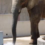 媛ちゃんの水遊び
