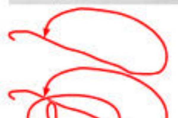 犀の角のように独り歩め 覚書