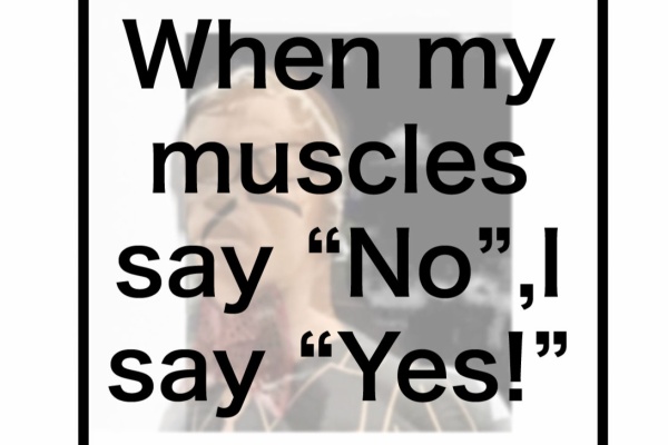 無人島オーナーのマウンテンゴリラになりたい