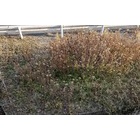 �إե��Х��ޡ�������٤β���