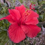 トラッチーのちょこっと日記