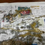 風の動物病院のブログ