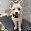 8月12日のお友達❤️