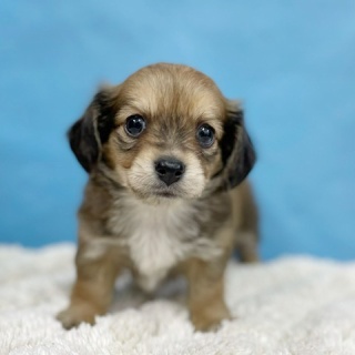 かねだい四街道店ブログ