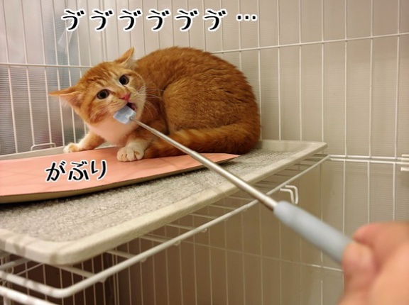 ジーロー氏スパルタ特訓