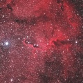 あの夏の思い出 ！ケフェウス座のIC1396散光星雲 ☆彡
