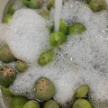 晩夏に有機スダチ酵素　ご予約開始！