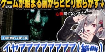 【ホロライブ】ぺこらからプレゼントしてもらったホラゲで本編が始まる前からビビリ散らかし悲鳴を上げまくるリオナｗ