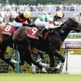 GI未勝利でGⅡ3勝以上した馬レーベンスティール以外であげてけ
