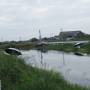 気まぐれな迎島クリーク・sunday記録会