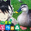 【あつまれどうぶつの森】新たに始まるあつ森ライフ #02【影山シエン/ホロスターズ】
