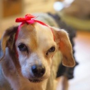 ティナちゃん♡ハピバースデー