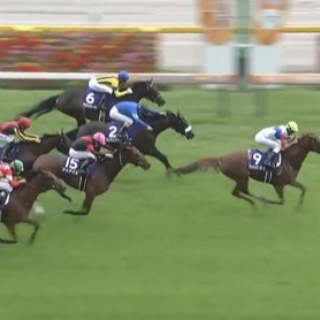 競馬総合まとめ速報