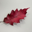 2つのプレゼント