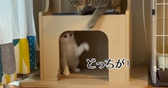 彩ちゃんは意地悪なのかフレンドリーなのか….