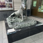 千葉でがんばる社労士ＣＦＰの奮戦記