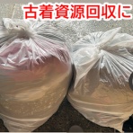 ガオだらけな日々　