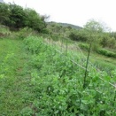 理不尽な世界、社会の中で覚悟をもって生きる