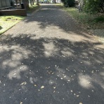 SLE NOTE〜膠原病患者ルッコラのブログ〜