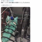 【※閲覧注意】ハメネイ師の遺体画像、ガチでヤバい…