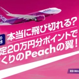 『ピーチポイント20万円分プレゼント!白桃フレーバーのレッドブル発売記念!』の画像