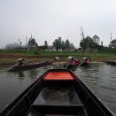 チェンマイ県（６３９）　The Champaka tree in the middle of water  (ต้นฉำฉากลางน้ำ)
