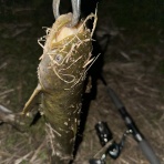 ＧＰ’ｓ ＲＯＯＭ なれの果て・・・