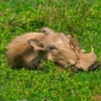 今日をいい日に