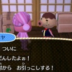 どうぶつの森☆あすか村便り