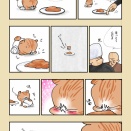 保護猫物語🐱アツヤキとたまこ⑥