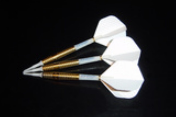 ダーツやろうよ みんなのマイダーツ紹介